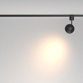 Трековый светильник Sfera Elasity 3000K 8Вт 36° / Maytoni TR164-1-8W3K-M-B