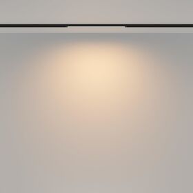 Трековый светильник Basis Basity 8Вт 120° / Maytoni TR173-1-8WTW-B