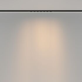 Трековый светильник Spiky Basity 12Вт 36° / Maytoni TR175-1-12WTW-M-B