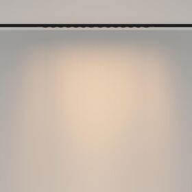 Трековый светильник Spiky Basity 24Вт 36° / Maytoni TR175-1-24WTW-M-B