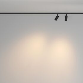 Трековый светильник Focus Duo Basity 6Вт 36° / Maytoni TR176-1-2X3WTW-M-B