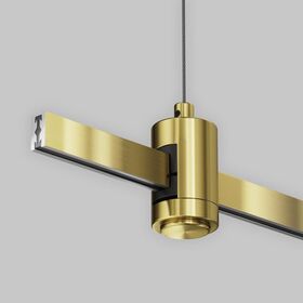 Подвес тросовый Hang одинарный Flarity латунь / Maytoni TRA157SW-S1-BS