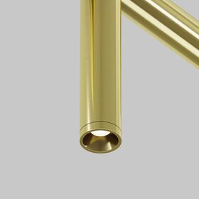 Светильник Focus Led для штанговой системы освещения Axity 3000-6000К 3Вт 45° / Maytoni C102CL-3W3-6K-BS