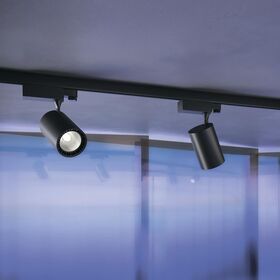 Трековый светильник Vuoro Trinity 4000K 20Вт 36° / Maytoni TR029-3-20W4K-M-B