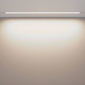 Трековый светильник Basis Exility 4000K 30Вт 120° / Maytoni TR030-2-30W4K-W