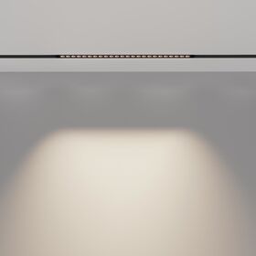 Трековый светильник Points Exility 4000K 24Вт 36° / Maytoni TR031-2-24W4K-B