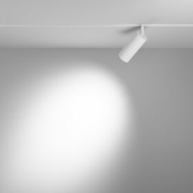 Трековый светильник Focus Led Exility 2700-6000K 12Вт 36° Dim Dali1 / Maytoni TR032-4-12WTW-S-DD-W