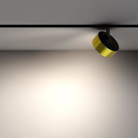 Трековый светильник Rado Exility 4000K 18Вт 120° / Maytoni TR040-2-18W4K-BBS