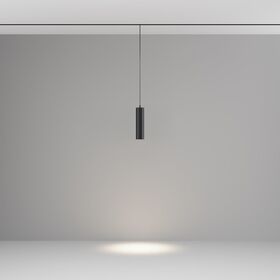 Трековый подвесной светильник Focus Led Exility 4000K 12Вт 36° / Maytoni TR041-2-12W4K-B