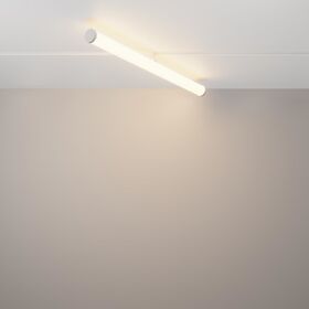 Трековый светильник LARC Exility 2700-6000K 25Вт 360° Dim Smart / Maytoni TR086-4-25W-DS-W