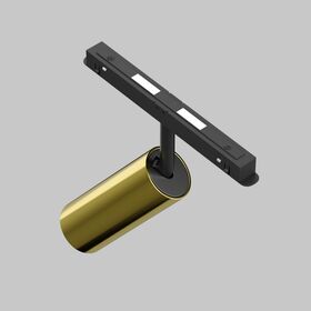 Трековый светильник Focus Led Exility 4000K 12Вт 36° / Maytoni TR032-2-12W4K-M-BBS