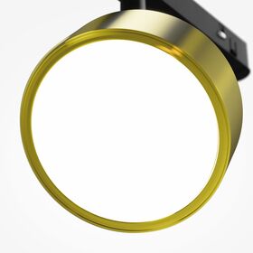 Трековый светильник Rado Exility 4000K 18Вт 120° / Maytoni TR040-2-18W4K-BBS