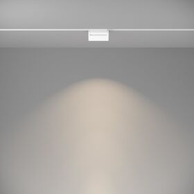 Трековый светильник Basis Gravity 4000K 10Вт 120° / Maytoni TR075-2-10W4K-W