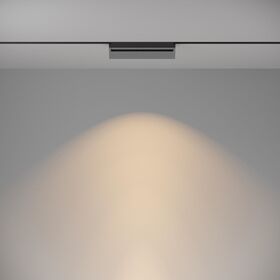 Трековый светильник Basis Gravity 3000K 20Вт 120° / Maytoni TR075-2-20W3K-B