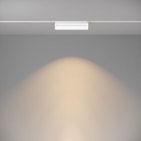 Трековый светильник Basis Gravity 3000K 20Вт 120° / Maytoni TR075-2-20W3K-W