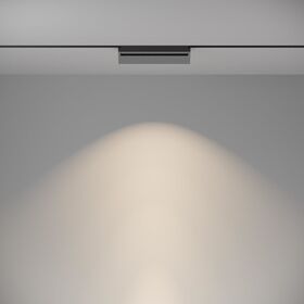 Трековый светильник Basis Gravity 4000K 20Вт 120° / Maytoni TR075-2-20W4K-B