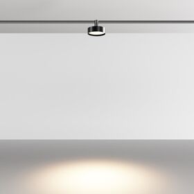 Трековый светильник Zon 3000К 12Вт 100° / Maytoni TR204-1-12W3K-B