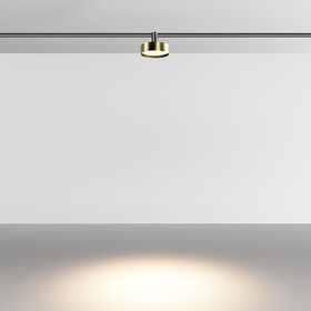 Трековый светильник Zon 3000К 12Вт 100° / Maytoni TR204-1-12W3K-BBS