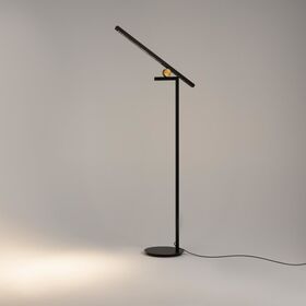 Напольный светильник (торшер) Maytoni Empathy MOD363FL-L14B3K