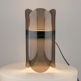 Настольный светильник Maytoni Insight MOD416TL-L6BR3K