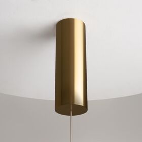 Подвесной светильник Maytoni Loop MOD290PL-L14BS3K