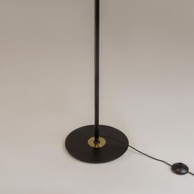 Напольный светильник (торшер) Maytoni Dress code MOD348FL-L24BBS3K