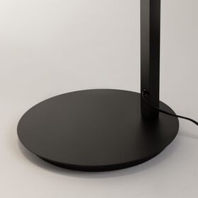 Напольный светильник (торшер) Maytoni Empathy MOD363FL-L14B3K