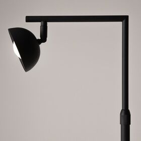 Напольный светильник (торшер) Maytoni Pikant MOD372FL-L10B3K