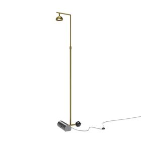 Напольный светильник (торшер) Maytoni Pikant MOD372FL-L10BS3K