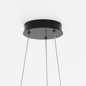 Подвесной светильник Maytoni Rim MOD058PL-L54BK