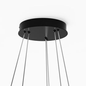 Подвесной светильник Maytoni Rim MOD058PL-L55BK