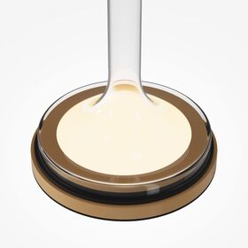 Настольный светильник Maytoni Spirito MOD286TL-L18G3K