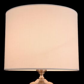 Настольный светильник Maytoni Lowell Z533TL-01N