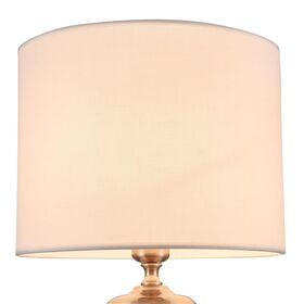 Настольный светильник Maytoni Lowell Z533TL-01N