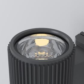 Настенный светильник (бра) Maytoni Rando O419WL-01GR