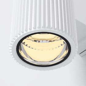 Настенный светильник (бра) Maytoni Rando O419WL-02W