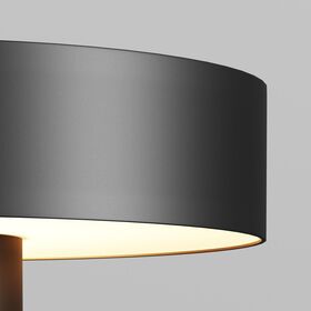 Парковый светильник Maytoni Katto O471H-L30GF3K