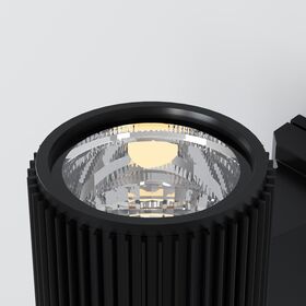 Настенный светильник (бра) Maytoni Rando O419WL-01B