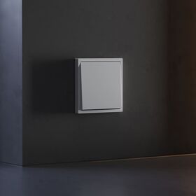 Клавиша для выключателя/переключателя одноклавишного S70 (серый) / Voltum VLS000116