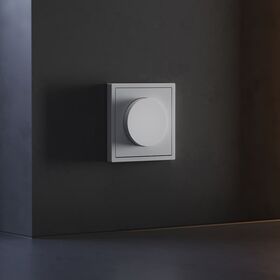 Накладка для светорегулятора поворотно-нажимного S70 (серый) / Voltum VLS002016