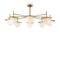 Подвесной светильник Freya Camelia FR5202PL-08BS