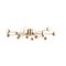 Потолочный светильник Freya Celebrity FR5242CL-16BS