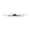 Потолочный светильник Freya Celebrity FR5242CL-24B1