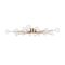 Потолочный светильник Freya Celebrity FR5242CL-24BS1