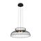 Подвесной светильник Freya Citrus FR5398PL-L6B
