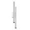 Настенный светильник Calipso 2700К 24Вт 36° / Maytoni C082WL-24W2.7K-W