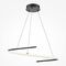 Подвесной светильник Maytoni Curve MOD242PL-L33BK