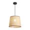 Подвесной светильник Freya Mixture FR5483PL-01B1
