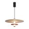 Подвесной светильник Freya Acoustic FR5494PL-L9TR