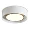 Потолочный светильник Freya Cozy FR6170CL-L52BS